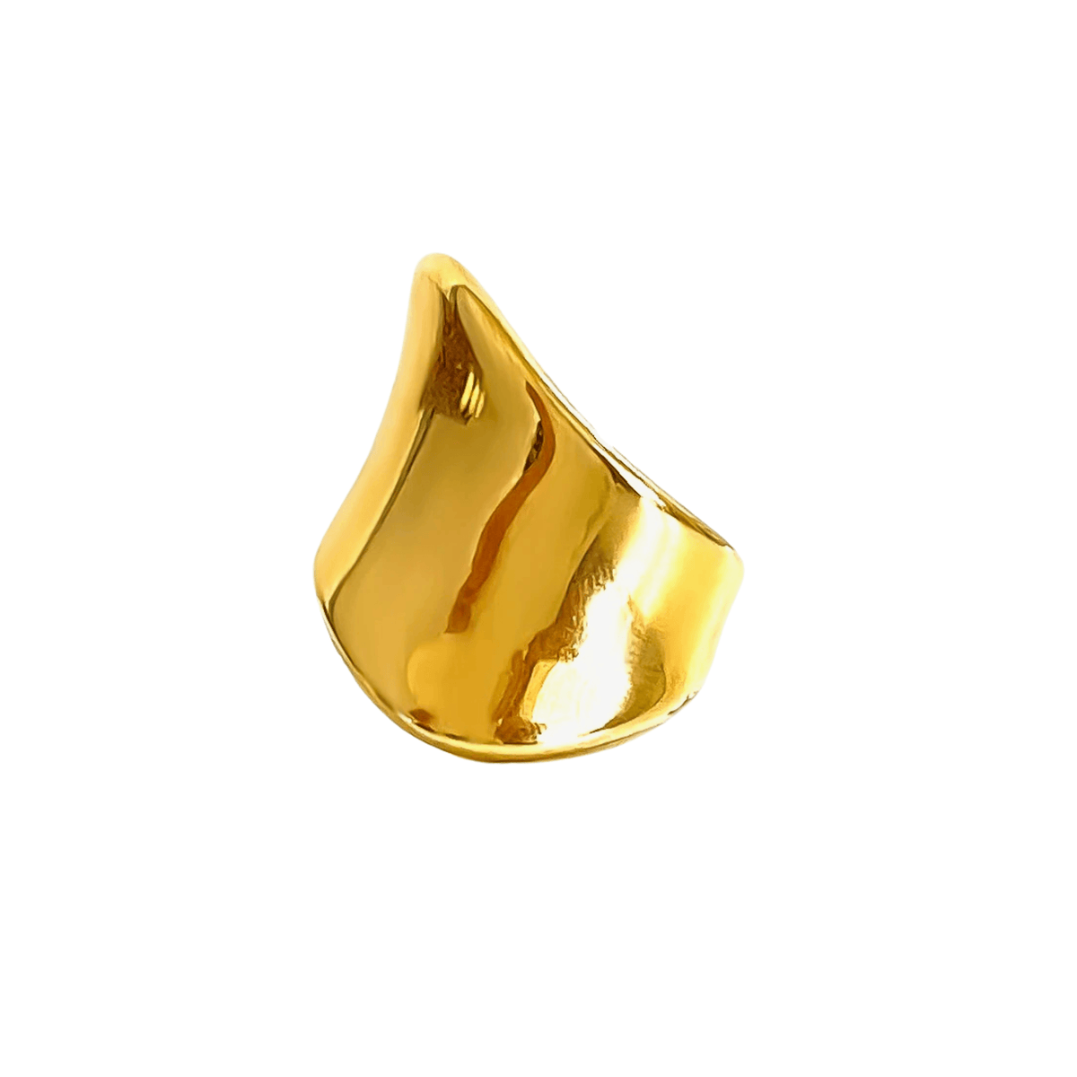 Anel Orgânico Design Ysa